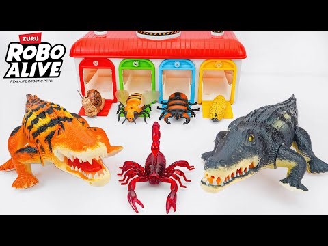 🦈Toy ASMR🦈RC Crocodile & RC Scorpion & RC Lizard ASMR Satisfying with Unboxing