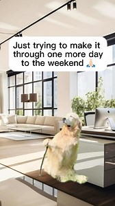 Namaste in bed all weekend … if I can make it to 5pm | Work Laugh Balance