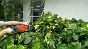 Check out this Husqvarna hedge trimmer in action! This trimmer is easy to use, easy to handle – and quiet enough for seasonal use in residential areas! Only $635 BBD! See more information: https://bit.ly/3d72ZUH #Equip4You | Equip4you