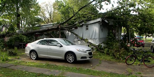 Here’s what to do (and not do) if a tree hits your home