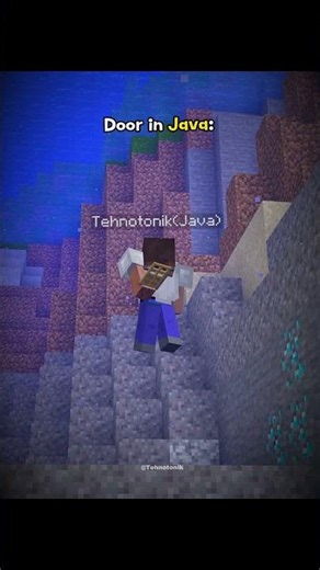 Minecraft Door in Java Version vs Door in Bedrock Version Moment