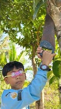 Survival Skills: SMART idea and USEFUL in FOREST with Single MOM #outdoor #bushcraft #survival