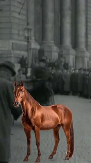 The First Car Ever Made Had Only 3 Wheels!