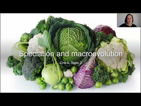 Speciation and macroevolution (Part 1)