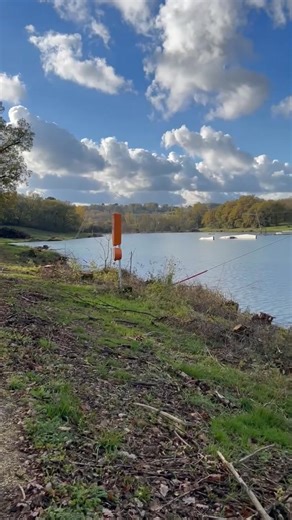 Les arbres qui bordaient le lac du Moulineau à Damazan ont tous été rasés. Principalement des chênes dont certains d’1 mètre de diamètre. Ce qui était une beauté de la nature n’est maintenant que désolation. Je suis écœuré. | Apollon Pilou