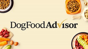 The Controversy Over Menadione in Dog Food | Dog Food Advisor