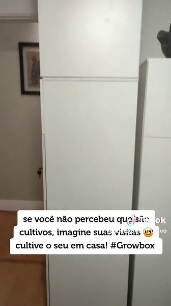 Cultivo em Casa com Growbox: Dicas e Setup