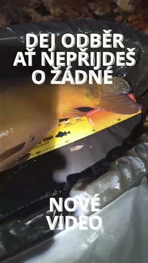 18Kg Kapr z LABE | TEST NAŠEHO BOILIES