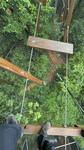 😱🤯Papa Ban Gaye Tarzan|Jungle Adventure Begins#shorts #ytshorts #luckygameplay #explore #viralvideo