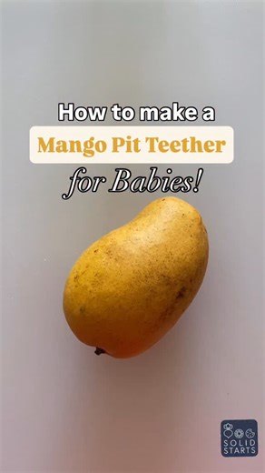 Solid Starts on Instagram: "Need a first food option? 🥭! Our feeding therapists on the team LOVE mango pits for babies starting solids, and especially for babies with developmental differences. Here’s why: Baby gets challenge without the risk. Mango pits are large and firm, making them easy for babies to pick up. (Rolling in almond flour or even rice cereal will aid grip.) Mango pits give baby an opportunity to work oral reflexes that are foundational to chewing. When baby munches on a mango pi