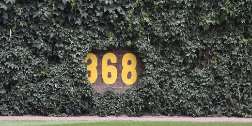 Fact vs. Fiction: Origin of Wrigley's ivy