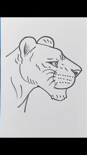 tiger face drawing easy #drawing #shorts #tiger