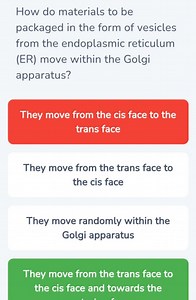 How do materials packaged in vesicles from the endoplasmic reti... | Filo