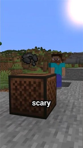 Minecraft Players Never Noticed This…