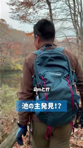 池の主発見！？🐟#CBS #社長 #魚 #主