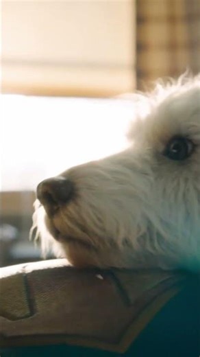 Superman But With FARTS?! #shorts #fart #farts #funny