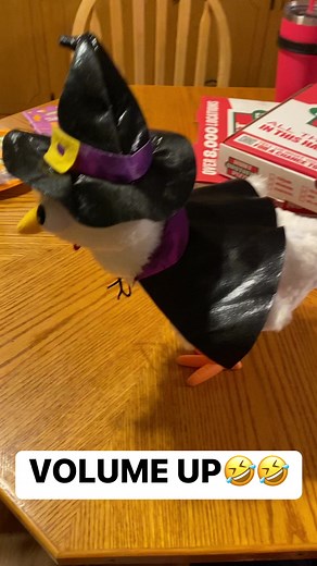 What are they going to come out with next 🤣🤣🤣#reels #viral #dalandrylife | Da Landry Life