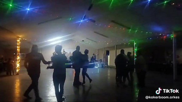 kokerboom orkes on TikTok