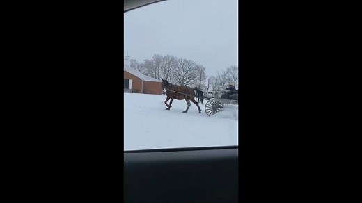 46K views · 1K reactions | Want some coffee with those donuts? 藍藍 You might be in Tennessee if you catch the Amish doing donuts in the snow. https://bit.ly/3du1Jv2 : Tanner and Shelby Malone in Ethridge | WZTV FOX 17 News, Nashville | Facebook