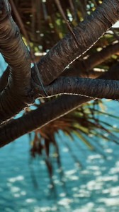 1.6K views · 50 reactions |  Ready for some sun, sand, and...