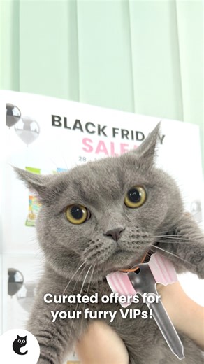 #CatsmartSale | It’s Catsmart in your area!  From ퟮퟴ - ퟯퟬ 헡헼혃, our...