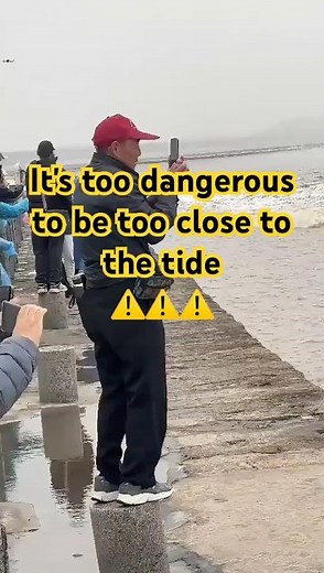 Sir System was very focused on shooting the tide.#beach #highwave #waves #travel#water #bigwaves