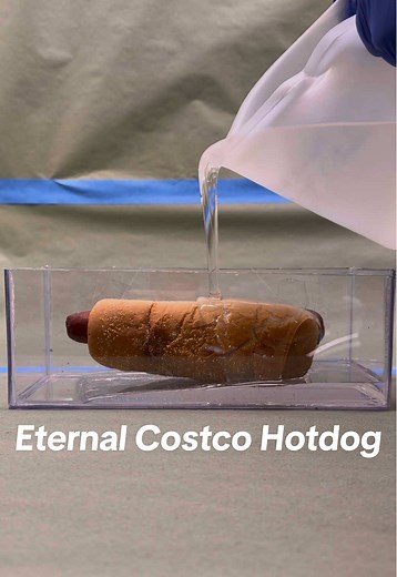 Exploring the Eternal Costco Hotdog Phenomenon