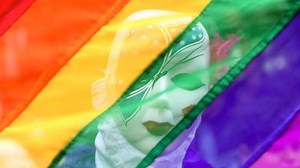 What is Section 377?