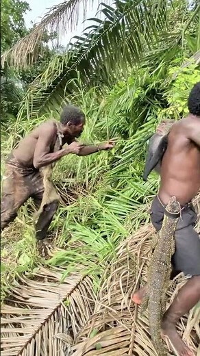Giant Lizard Hunt in the Jungle | Incredible Wildlife Adventure 🌿#WildLife #JungleLife #LizardHunt #