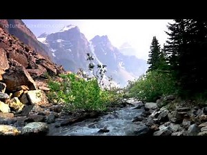 Pan flute & Guitar - Together (Wind Wood & Strings)