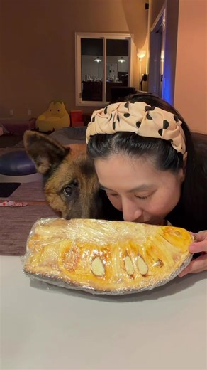 Will my dog eat this? Is Soup Baby a Fruit Baby too? #germanshepherd #dogsoftiktok #funnyvideo #cutedog #dogmom