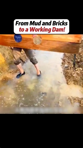 #handwork #Manufacturing #Build #Creativity #Repair #DIY #challenge #Treasurehunt #animalworld | Zaira Gnanendran