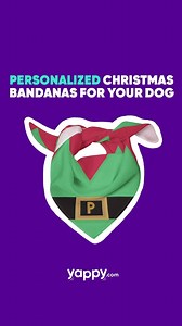 17 reactions · 7 comments |  Is Your Dog Christmas Party Ready?   Check Out Our Xmas Themed Bandanas 拾  Over 300 Breeds!  | yappy.com | Facebook