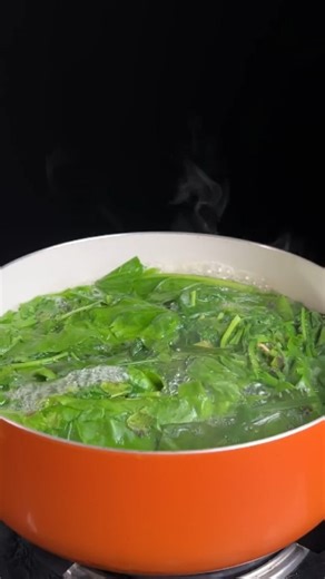 M India on Instagram: "Winter Spacial Palak Paneer recipe _ so easy steps to make your home #recipe #eseyrecipes #shorts"