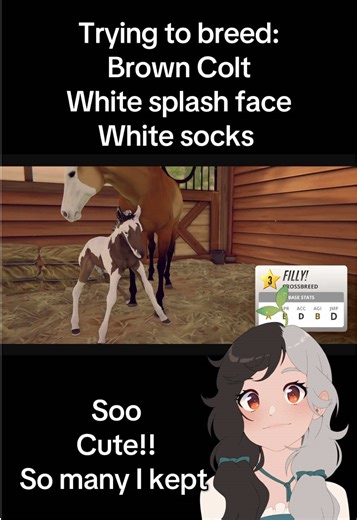 Breeding My Dream Horse: A Rival Stars Journey