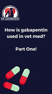 I received a question about how gabapentin is used in veterinary behavioral medicine. It's a complex topic, so I've decided to create a series of posts on this subject. Here's the first one: 🐾 Gabapentin Basics: - Gabapentin slows down impulses in the brain, calming the system. - It's an anticonvulsant, neuropathic pain reliever, and anxiety reliever. - Commonly used for dogs and cats daily. 🐾 Misconceptions: - Gabapentin is not a sedative. It doesn't make pets sedated in the usual sense. - Pe