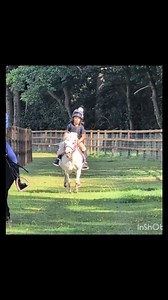 13K views · 1.1K reactions | Oh my goodness, what utter fun, kicking their heels up and loving life with good friends and the very best of ponies! Our little unicorn, the beautiful Mr Blue, giving it his all, and the new kid on the block, Presto, proving to be a saint whatever environment/situation we put him in. | The Pony Pals Family Storybooks | Facebook