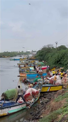 Hope island in Kakinada