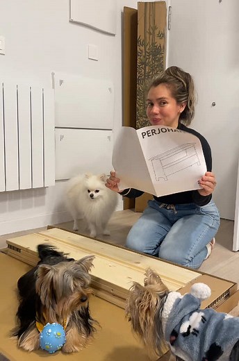 Decorando con ASMR | Decorating with ASMR #interiordesign #diseñodeinteriores #decoracion #muebles #decoración #decoration #home #decor #decorar #architecture #architect #arquitectura #arquitecta #hogar #casabonita #cutehouse #asmr #asmrvideo #asmrsounds