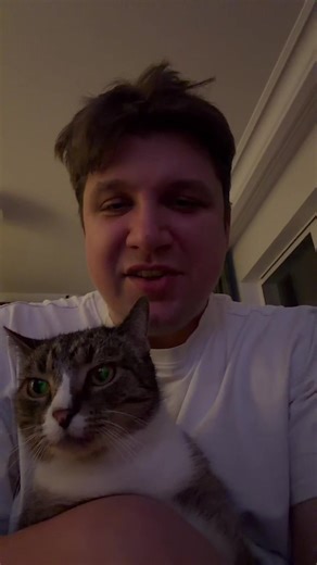 Algorytm zna się na rzeczy – zabawne koty