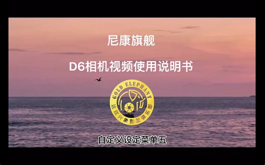 尼康旗舰D6相机视频使用讲解自定义设定菜单五北京达欣兴象尼康【超】典范店北京市海淀区五棵松路40号摄影器材城正门右手第二家电话010-88122484