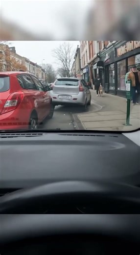 Driver Fails at Parallel Parking!