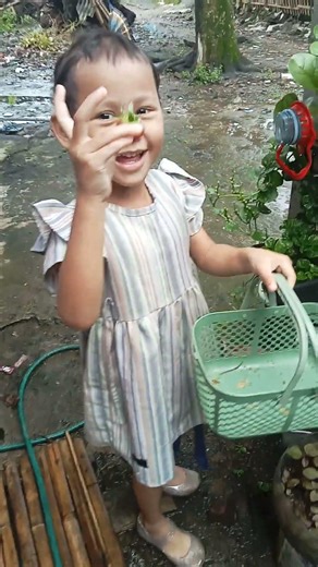 bgala tobeli #panen #gardening #strawbery #bery