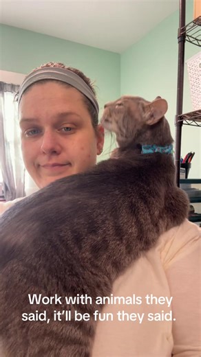 Plot twist: It is fun 🤩 Some days I want to run into a wall but most days, it’s pretty great. #fyp #rescue #animalwelfare #catsoftiktok #catlovers