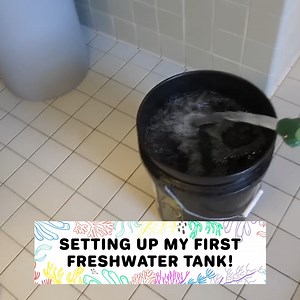6.1K views · 149 reactions | Back When I Built My First 5 Gallon Freshwater Tank in College!  | CoralFish12g | Facebook