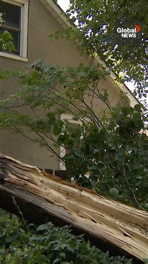 Ottawa shifts to recovery after historic Canada Day storm