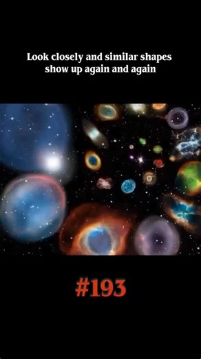 spaceverse on Instagram: "Look closely and you’ll see the same patterns repeat across scales: spirals in shells and galaxies, branching in rivers and lungs, networks in mycelium and neurons. Scientists mapping the cosmic web and biologists mapping ecosystems both find similar structural logic. This isn’t mysticism—it’s emergence. When systems face similar constraints like flow, efficiency, and stability, they often produce similar forms, even in completely different environments. From DNA to lig