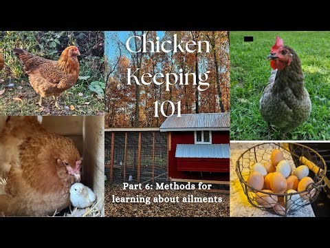 Methods for learning about chicken illness