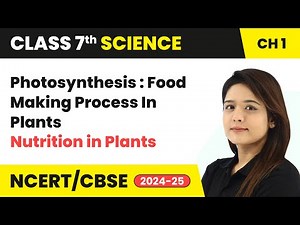 Photosynthesis : Food Making Process In Plants - Nutrition in Plants | Class 7 Science Ch 1 | CBSE