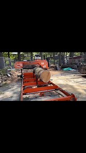 16 reactions | Cutting wood slabs on the saw mill... | Chic & Antique Farmhouse/Live-Edge furniture | Facebook